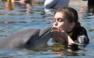 kissing dolphins