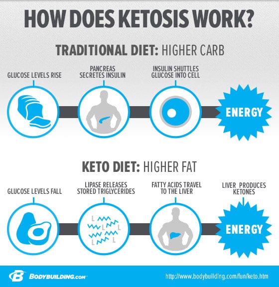 Ketogenic diet infographic 