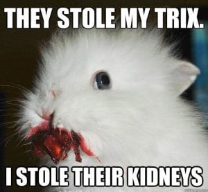 kidney bunny