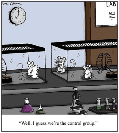 Lab rat cartoon