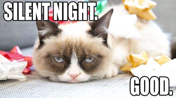 Grumpy cat saying silent night