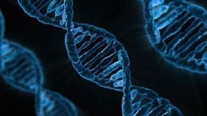 DNA