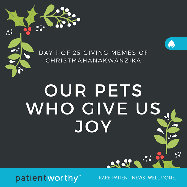 Pets give us joy