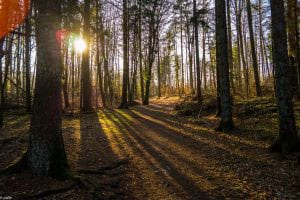 National Gaucher Foundation Provides Hope for Patients AND You