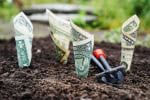 Dystonia Fundraising: How to Get it Done