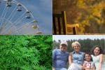 Editor’s Choice: Pot, POTS and Virginia’s Awesome Lyme Legislation