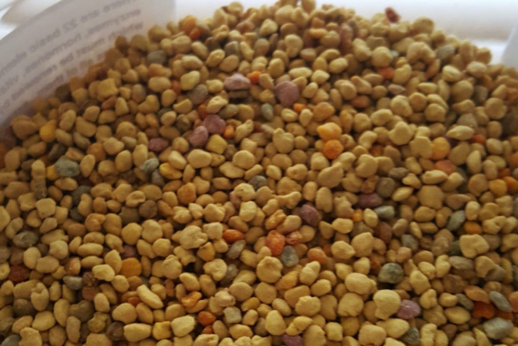 Can Bee Pollen Actually Help Recovery From Disease Treatment?