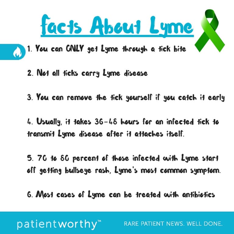 Memeducation – 5 Lyme Disease Facts