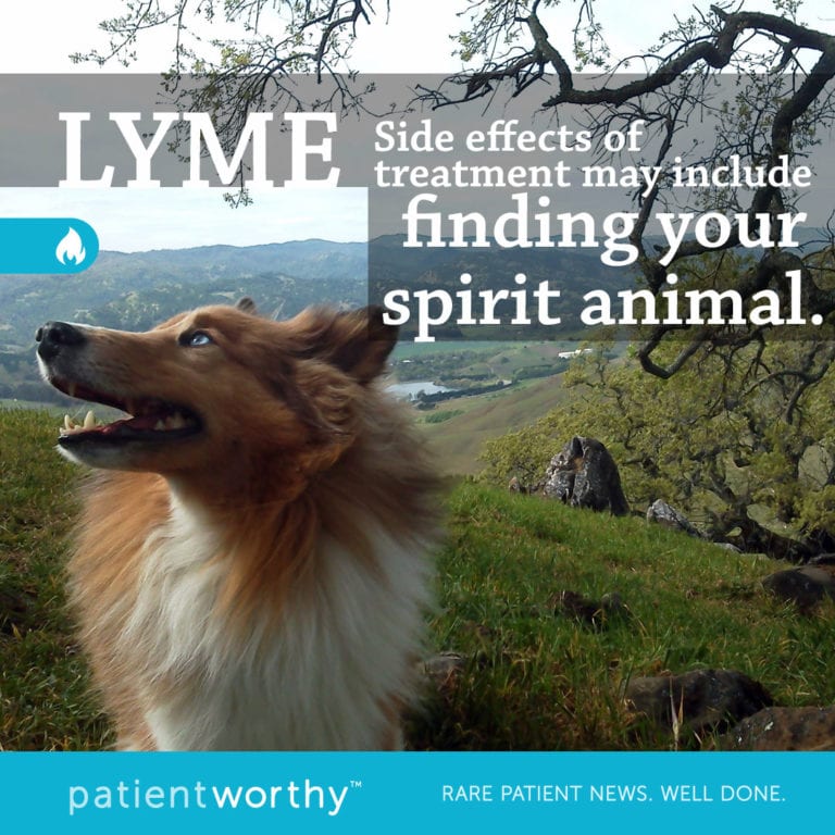 A Side Effect of Lyme Treatment Could Be Finding Your Spirit Animal