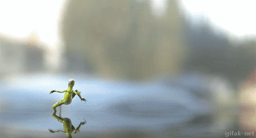 Make like a frog and hop on it! Source: www.giphy.com