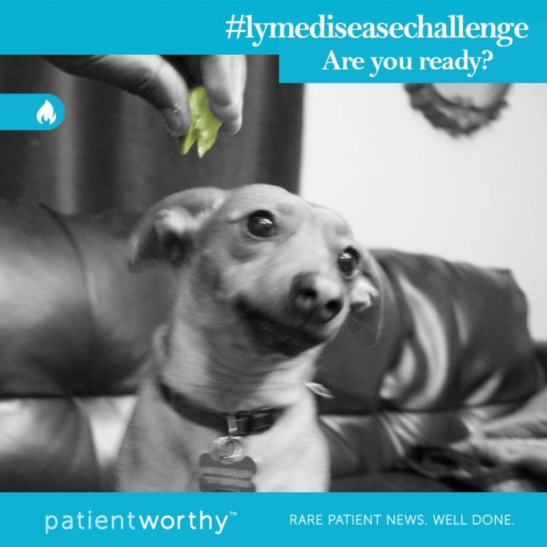 Are You Ready For The Lyme Disease Challenge?