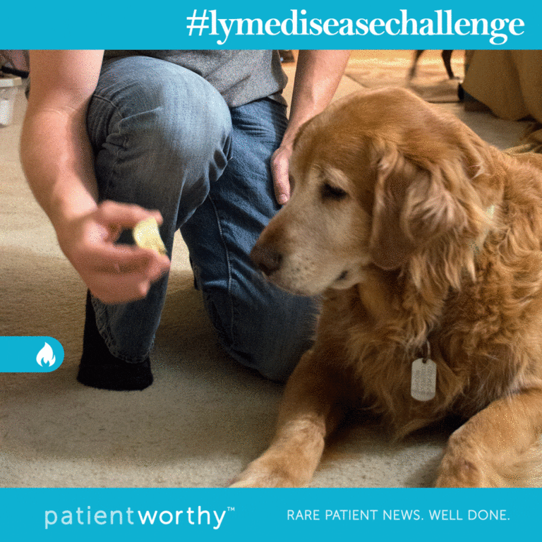 Fun With Dogs Too- The Lyme Disease Challenge