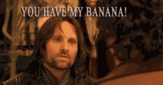 Aragorn knows what's up. Source: www.giphy.com