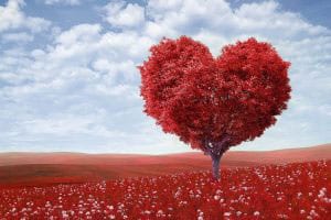 Fabry Disease: These Pharma Giants Truly Have Heart and Billions to Share