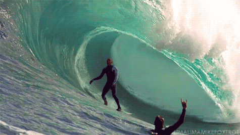 Insert stereotypical surfer lingo here. [Source: www.giphy.com]