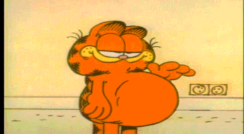 I think we can learn a lot from Garfield. Source: www.giphy.com