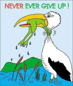 never-give-up-frog-257x300.jpg