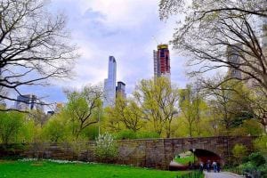 Running Multiple Myeloma 200 Miles into the Ground in Central Park