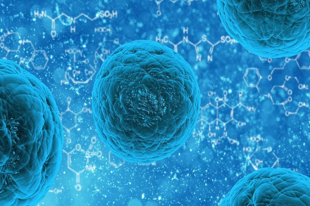 Altering Stem Cells Could Point the Way to a Fabry-Free Future