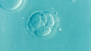 ICYMI: US Scientists Break Ground by Modifying Human Embryos for the First Time