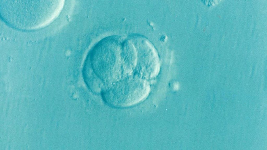 ICYMI: US Scientists Break Ground by Modifying Human Embryos for the First Time