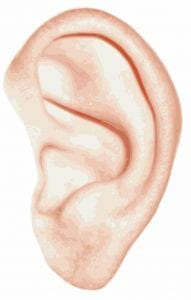 The Science and Hatred of Sound