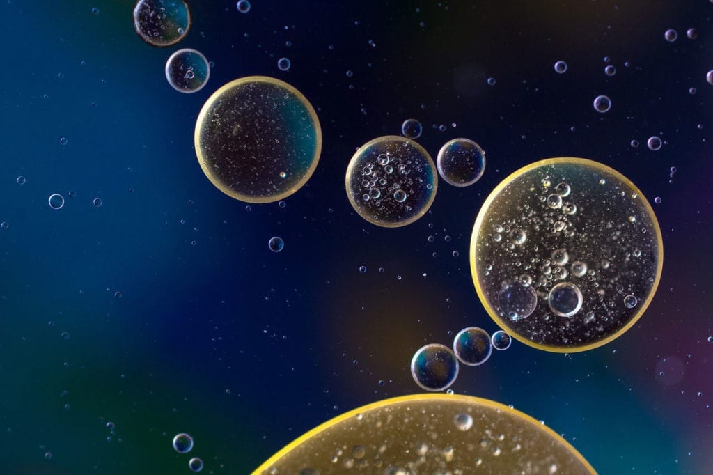 Scientists Create Hydrogels in Living Cells for the First Time