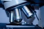 Drug Clinical Trial Reports Back Positive Results for Rare Bone Disease