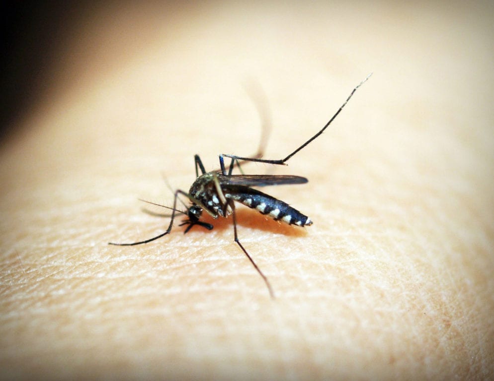 Higher Community Malaria Prevalence Worsens Symptoms