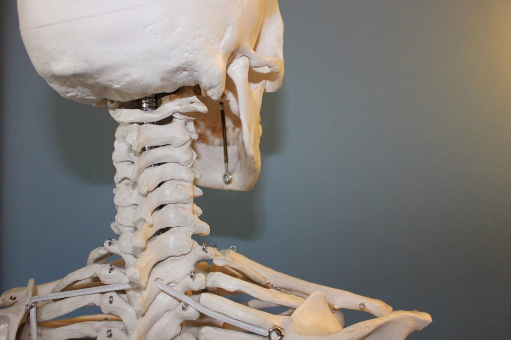 Programmer with Cutaneous T-Cell Lymphoma 3D Prints His Own Skeleton