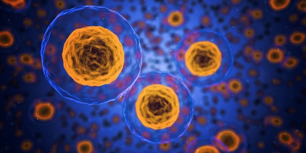 Researchers Discover A Molecule That Plays A Major Role In Protecting Against Cancer