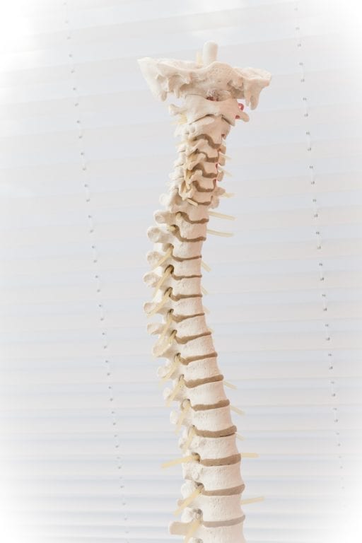 New Research Suggests “Nonsense” RNA Segment Might Play Important Role in Ankylosing Spondylitis