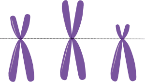 The Coriell Institute for Medical Research Recently Released N-Glycanase Deficiency Samples
