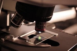 Mesoblast Reaches Endpoint for New Graft Versus Host Disease Treatment