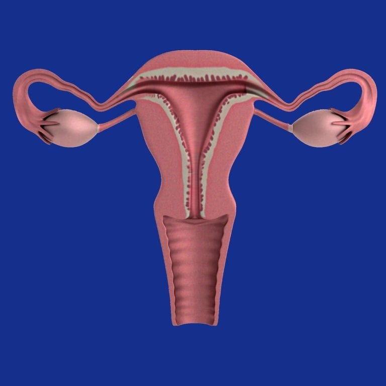 New Study May Provide Lifesaving Detection For Women With Ovarian Cancer