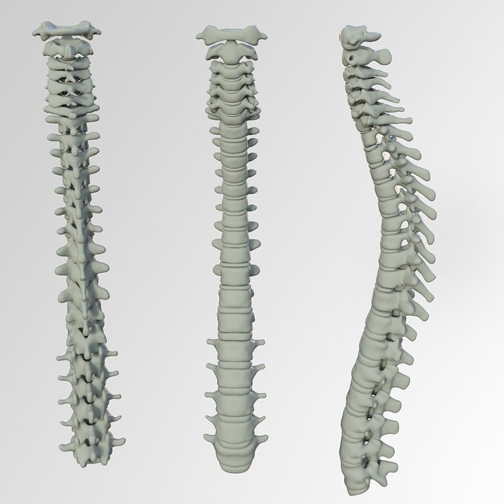 Los Exoesqueletos Robóticos Pueden Ser el Futuro de la Terapia para las Lesiones de la Médula Espinal