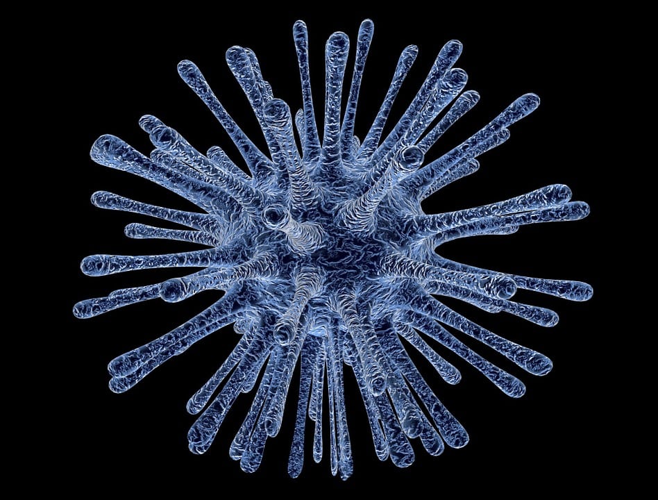 New Discovery Could Lead to New Treatments for Cancers Linked to the Epstein-Barr Virus