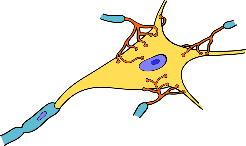 Research into SCA Reveals Processes Behind Development