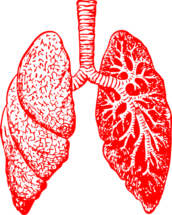 A Study Highlights the Benefit of a New Treatment for COPD. Could it Work in Rare Lung Diseases as Well?