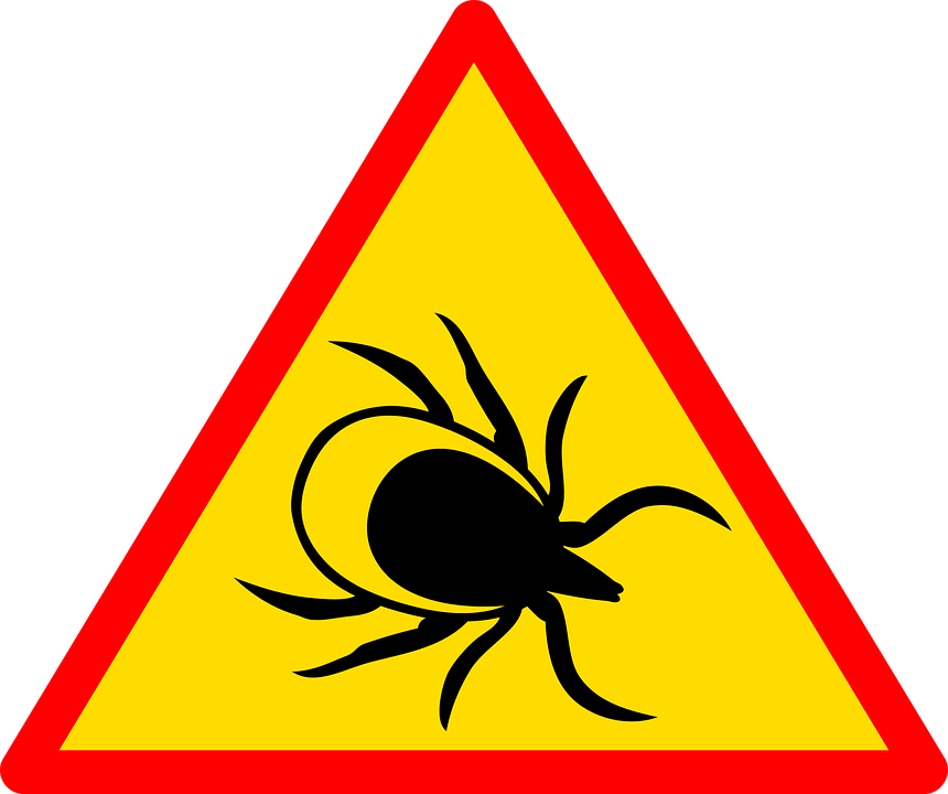 Researchers Discover the Mechanism That Allows Lyme Disease Bacteria to Survive