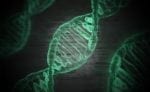 Canadian Patients Fear Discrimination with Challenge to Genetic Testing Law