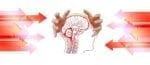 Recent Study Highlights the Genetic Basis of Hemiplegic Migraines