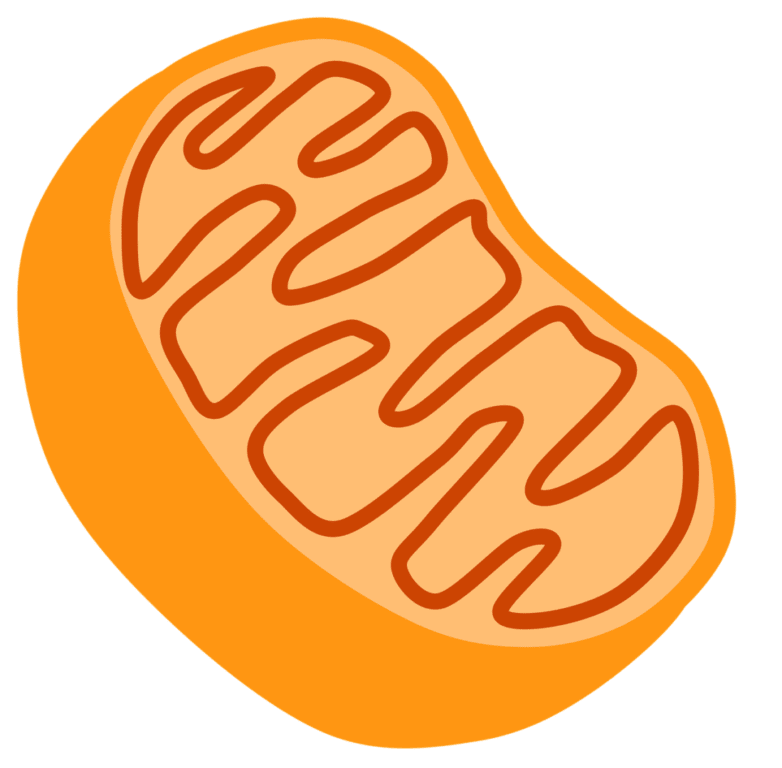 Researchers have Uncovered a New Mitochondrial Gene Mutation Related to Charcot-Marie-Tooth Disease