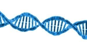 Researchers Recommend Genetic Testing For Some Medulloblastoma Sub-Groups
