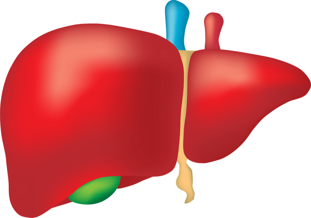 Alagille Syndrome