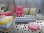 A Lab-Tested Experimental Therapy For Cystic Fibrosis May Have Significant Benefits Over Some Existing Treatments