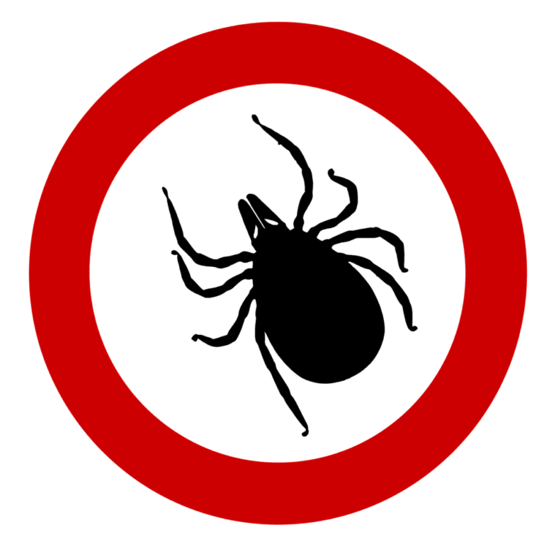 Check Yourself: Lyme Disease is Expanding in Urban Areas Too