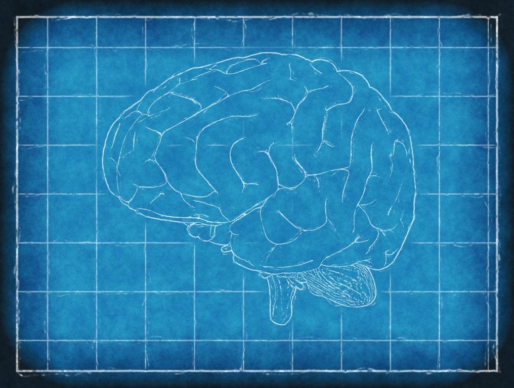 Can Mini-Brains Revolutionize Research?
