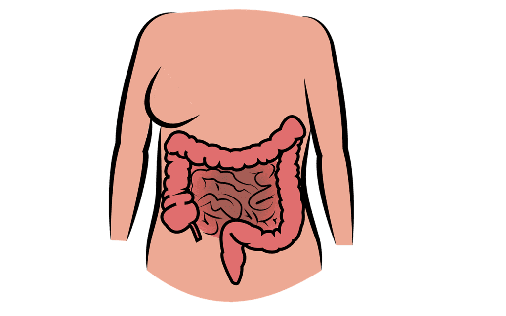 Recent Study Connects MAS With Digestive System Diseases