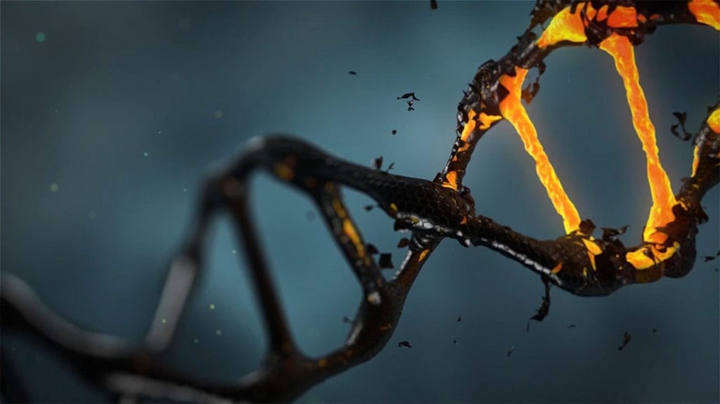 Preliminary Results of Gene Editing Experiment Suggest Potential for Treating Hunter Syndrome